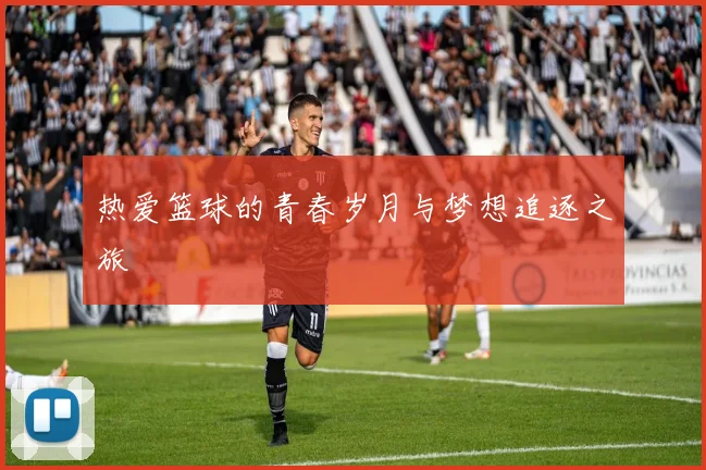 热爱篮球的青春岁月与梦想追逐之旅