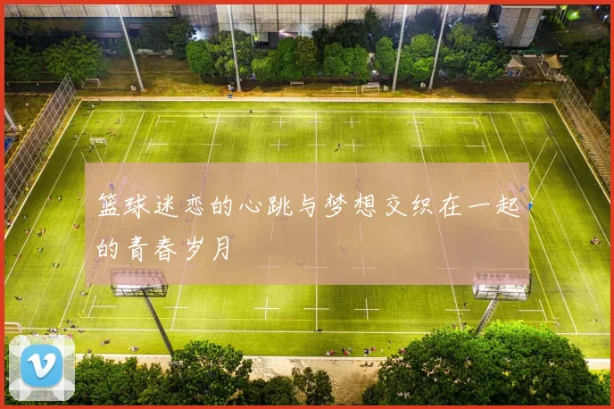篮球迷恋的心跳与梦想交织在一起的青春岁月