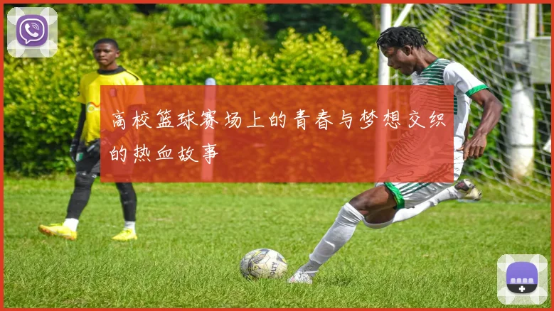 高校篮球赛场上的青春与梦想交织的热血故事