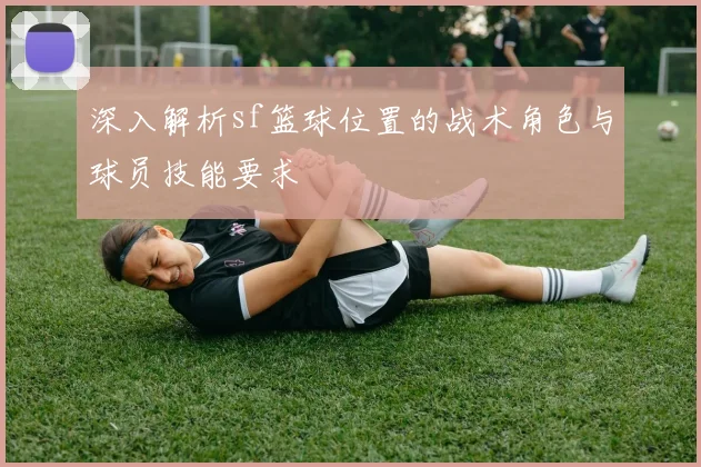 深入解析sf篮球位置的战术角色与球员技能要求