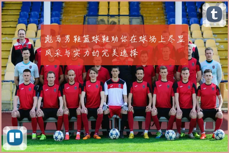 彪马男鞋篮球鞋助你在球场上尽显风采与实力的完美选择