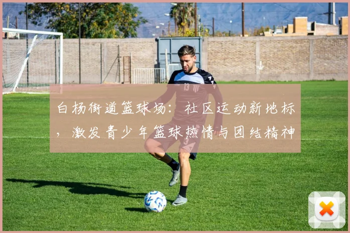 白杨街道篮球场：社区运动新地标，激发青少年篮球热情与团结精神