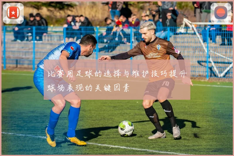 比赛用足球的选择与维护技巧提升球场表现的关键因素